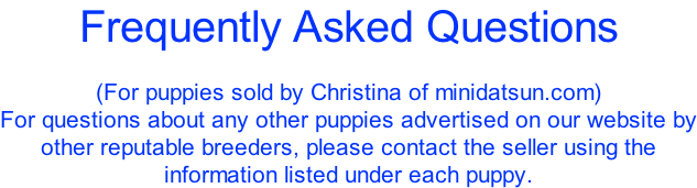 Frequently Asked Questions  (For puppies sold by Christina of minidatsun.com) For questions about any other puppies advertised on our website by other reputable breeders, please contact the seller using the information listed under each puppy.